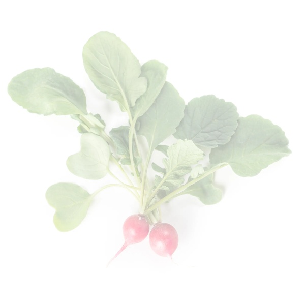 مونديال آر- زد product photo front L