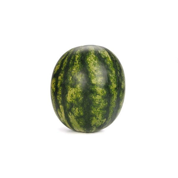 MALOK RZ F1 product photo view-4 L