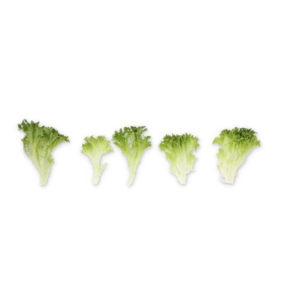 EXWINK RZ product photo view-3 L