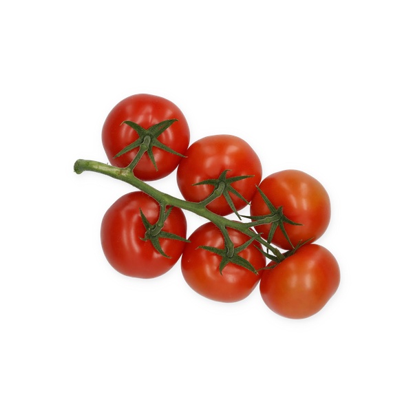 SWEETERNO RZ F1 (72-733) - Tomato | Rijk Zwaan