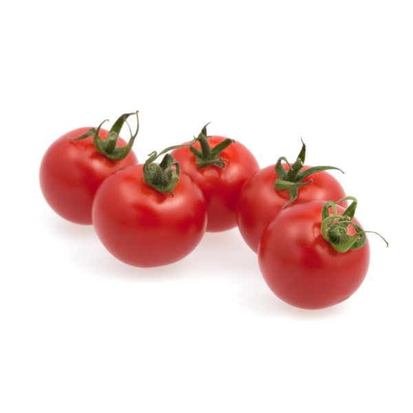 SASSARI RZ F1 (72-138) product photo front L