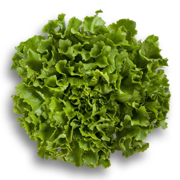 CARDAKI (11-605) Produktbild front L