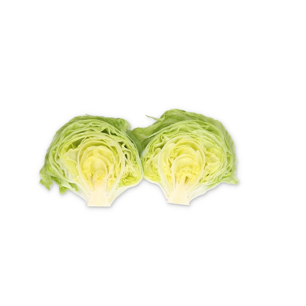 LENTENAS RZ (45-IC1488) Knox™ product photo view-3 L