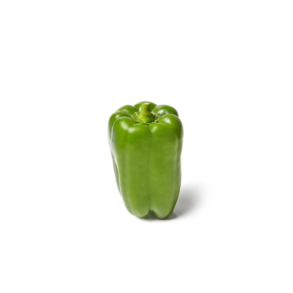 CRIPTONIO RZ F1 (35-LR70400) product photo view-3 L