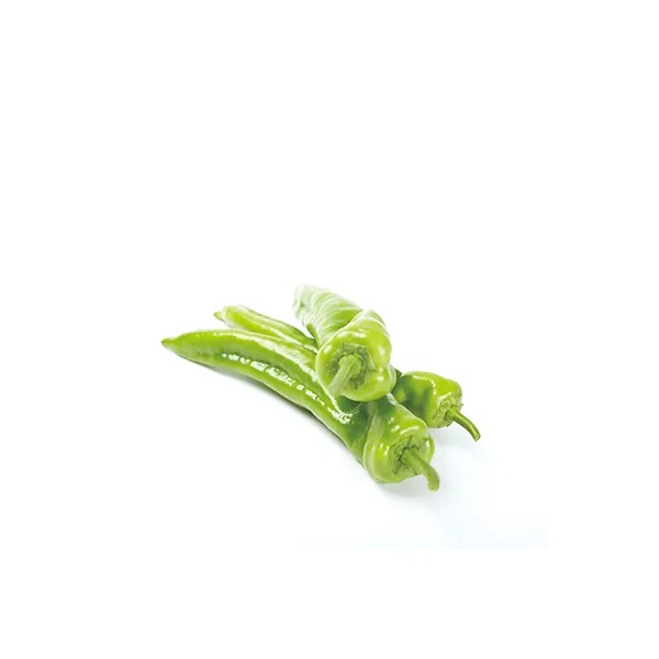 瑞箭(37-109)Ruijan product photo front L