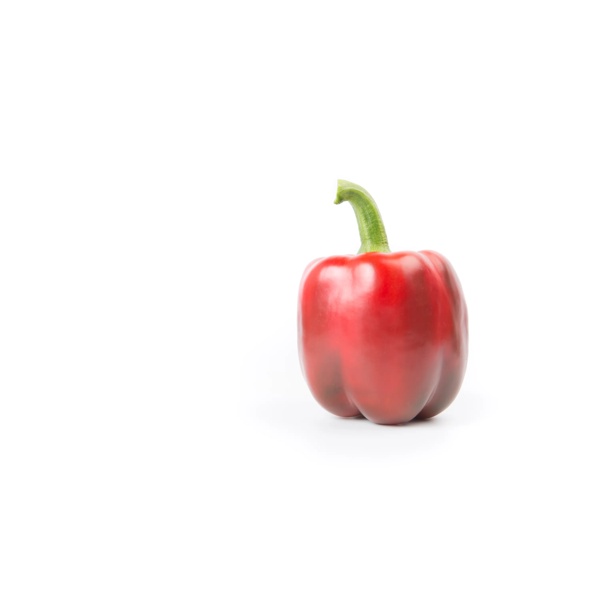 STARLET RZ F1 product photo view-2 L