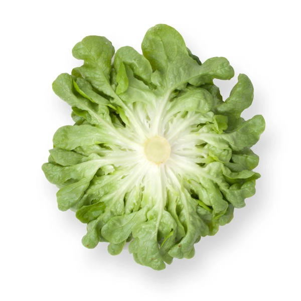 COOK RZ product photo view-2 L