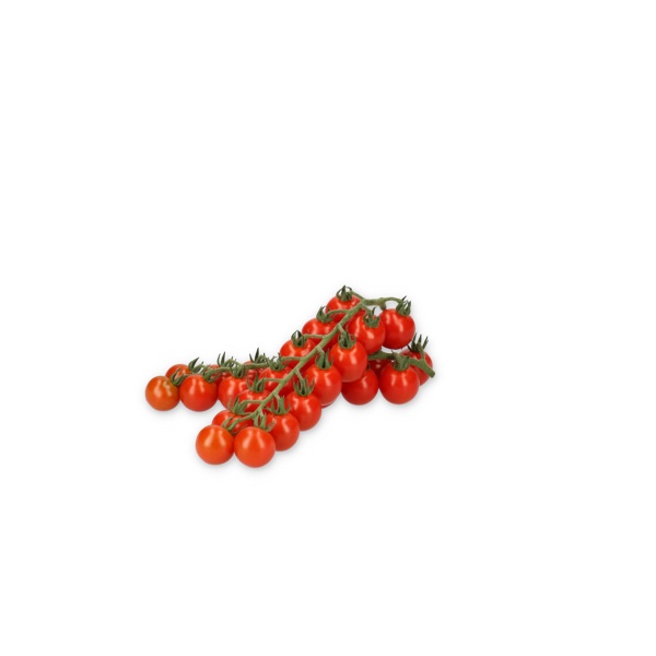HATENO RZ F1 (72-CH0364) - Tomato | Rijk Zwaan