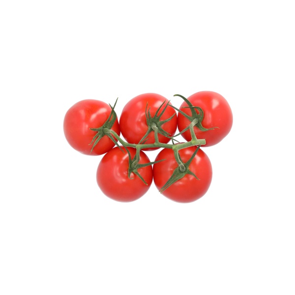 SANPAVEL RZ F1 (72-IM6773) - Tomato | Rijk Zwaan