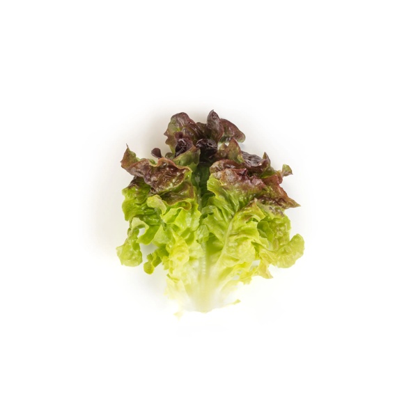 BALAKAI RZ (83-OA5181) product photo view-4 L