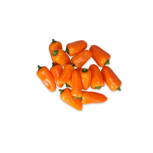 ORANGE TUMTUM RZ F1 product photo view-3 L