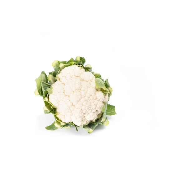 ARIENZO RZ F1  product photo view-2 L