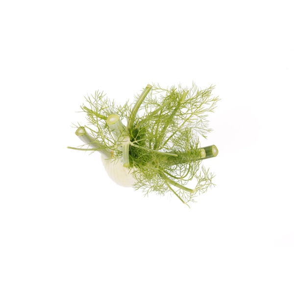GRECALE RZ F1 product photo view-3 L