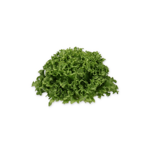 CRYSTIQUE RZ (44-CL1573) Knox™ product photo front L