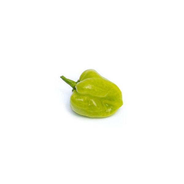 MAWENZILI RZ F1  product photo view-3 L