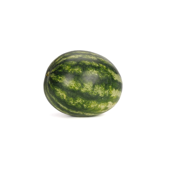MALOK RZ F1 product photo view-3 L