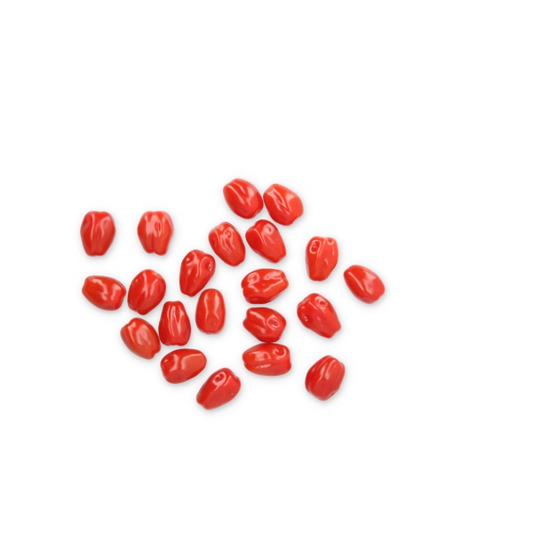 CAMILETTO RZ F1 (72-MP0046) - Tomate | Rijk Zwaan