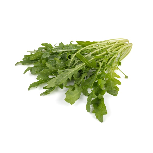 DIOMEDES (89-WR015) product photo front L