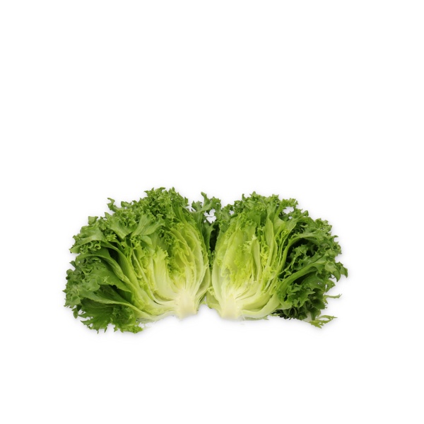 CRYSTIQUE RZ (44-CL1573) Knox™ product photo view-2 L