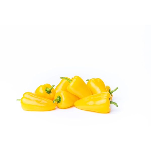 YELLOW ZUPPA RZ F1 Foto do produto view-4 L