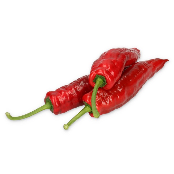PALERMO RAMSEY RZ F1 product photo view-2 L