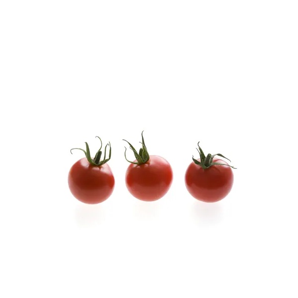 SASSARI RZ F1 product photo view-2 L