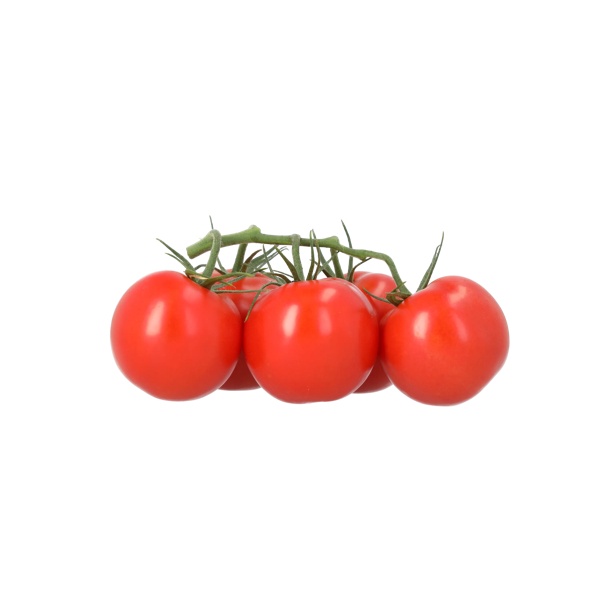 SANPAVEL RZ F1 (72-IM6773) - Tomato | Rijk Zwaan
