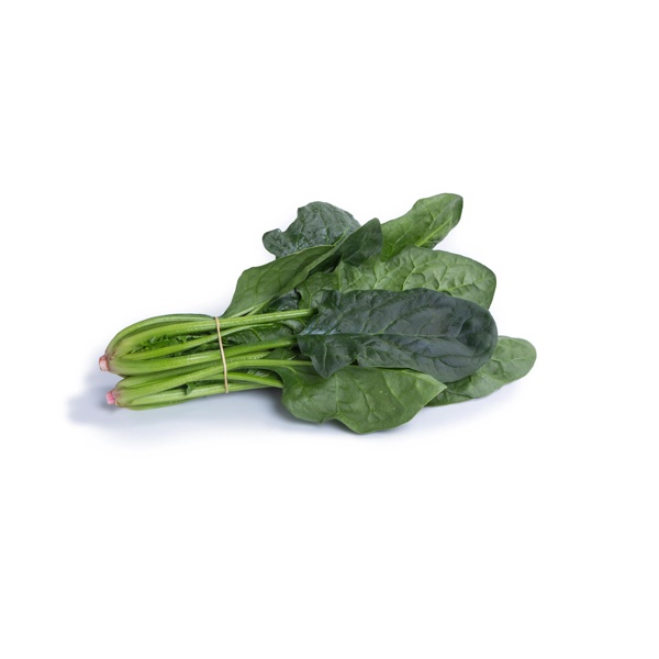 SILVERSIDE RZ F1 (51-OR206) product photo front L