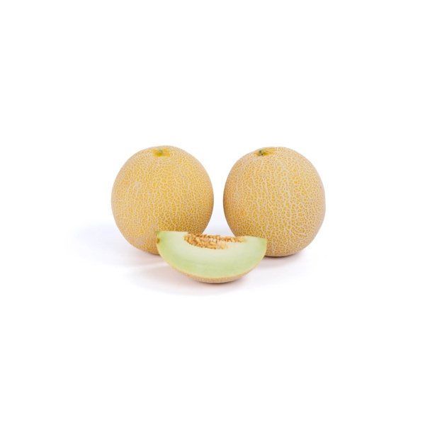 TELENO RZ F1 product photo view-2 L