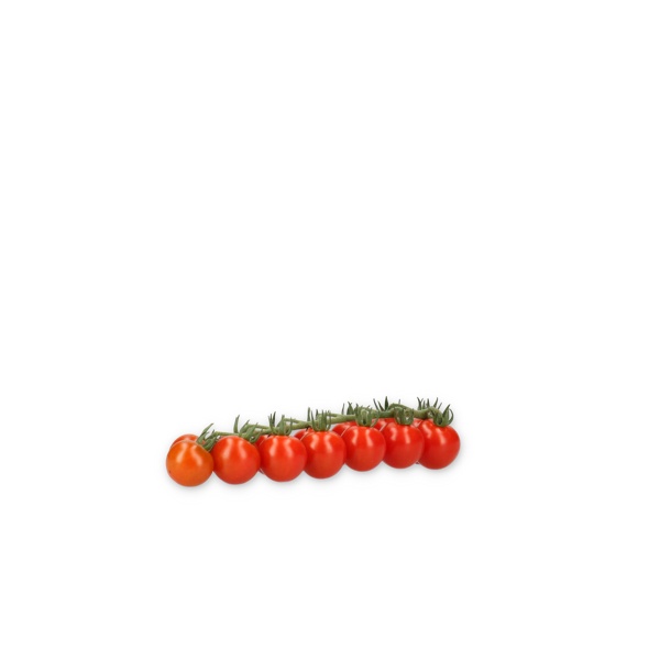 HATENO RZ F1 (72-CH0364) - Tomato | Rijk Zwaan
