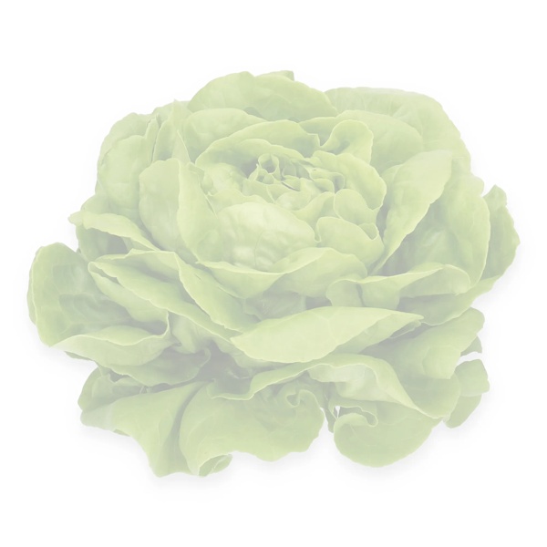 LUISELLA RZ (42-BU4386) Knox™ product photo front L
