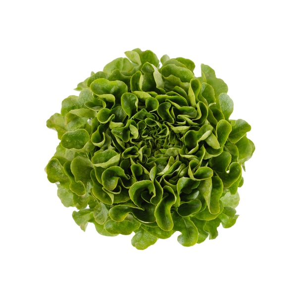 COOK RZ product photo front L