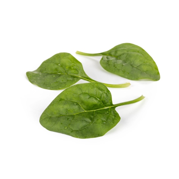 BOOMSLANG F1 (51-SE741) Produktbild view-2 L