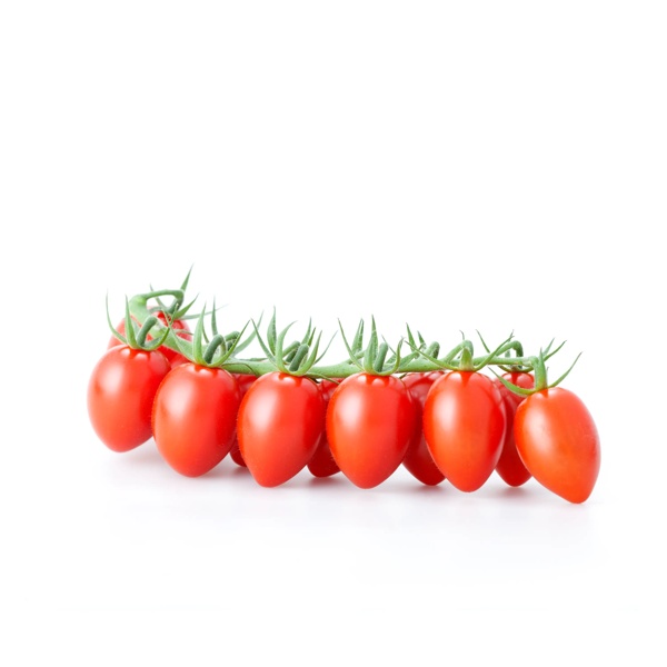 CALDINO RZ F1 (72-161) - Tomato | Rijk Zwaan