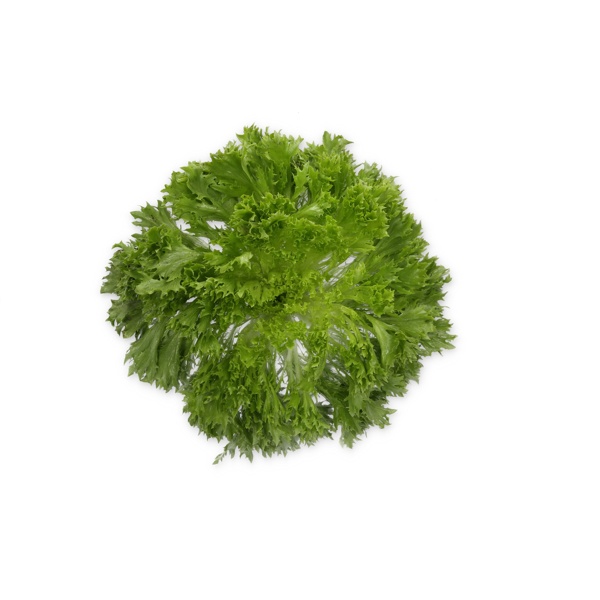 EXABREEZE RZ product photo view-2 L