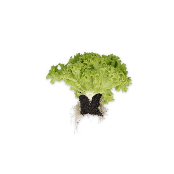 86-LE2027 RZ  product photo view-3 L