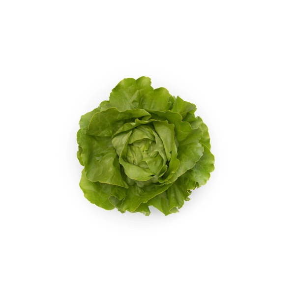 TOMBELO RZ product photo front L