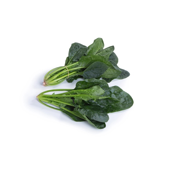 SILVERSIDE RZ F1 (51-OR206) product photo view-3 L