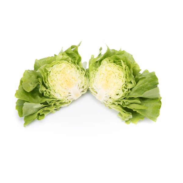 TOMBELO RZ product photo view-2 L