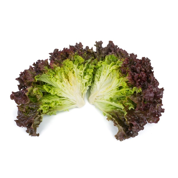 MINERAL RZ product photo view-2 L