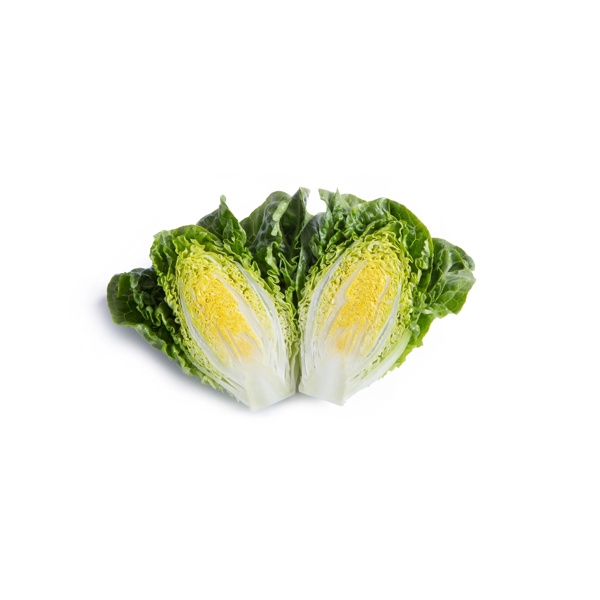 ALCOY-COMILLAS RZ product photo view-3 L