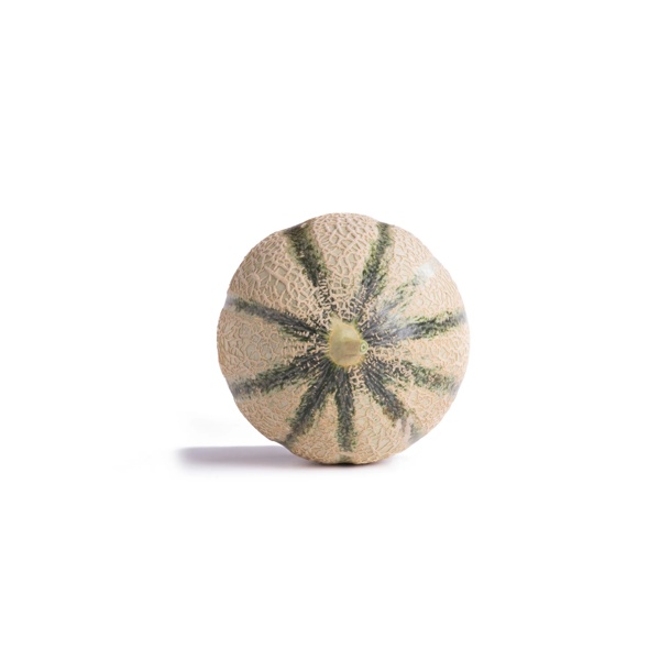 Semillas de melón | Pepino Largo | Blue Leaf™ | ZINASOL RZ | Rijk