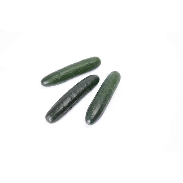 CAMAN RZ F1 product photo view-4 L