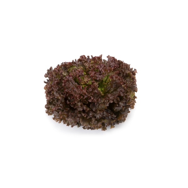 MINERAL RZ product photo front L