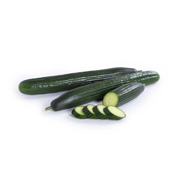 MARITIMO RZ product photo view-2 L