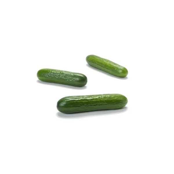 جيانكو آر زد product photo view-2 L