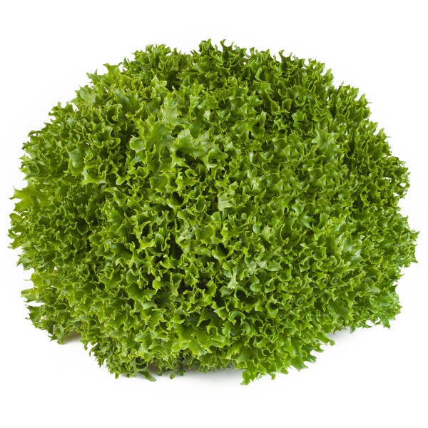 EXPERTISE RZ product photo front L