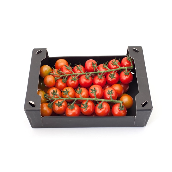 TASTERY RZ F1 (72-136)| Tomato | Cherry | Rijk Zwaan AU | Seeds