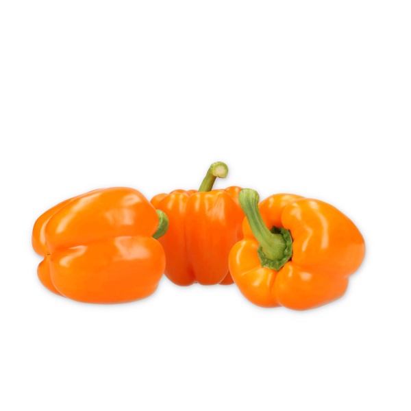 ROMBONI RZ F1 product photo front L