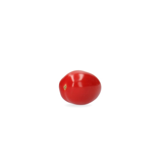 RASBORA RZ F1 (72-020) product photo view-2 L